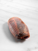 Renstek, nätad 1.2kg